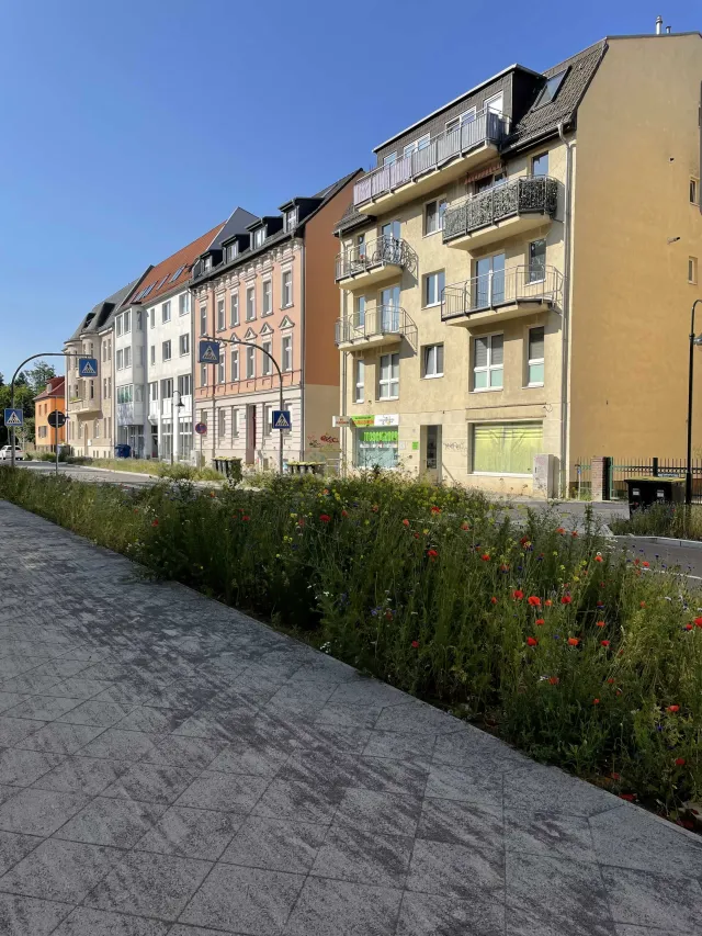 03_August-Bebel-Straße