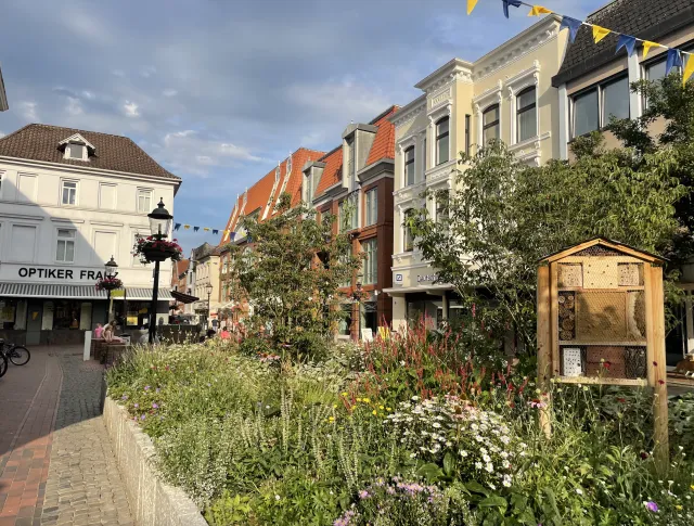 Pflanzbeet Fußgängerzone
