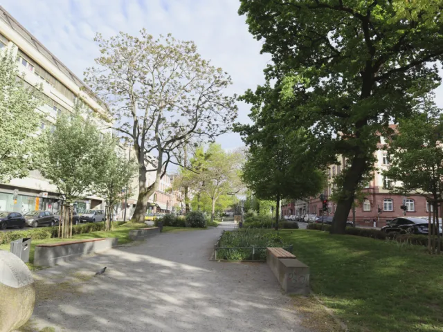 Grünfläche »Offenes Schöntal«